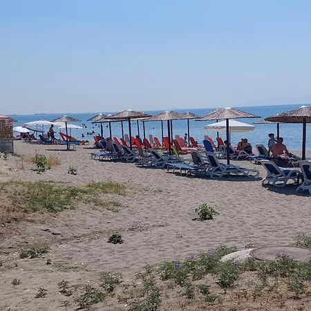 Kiki's *